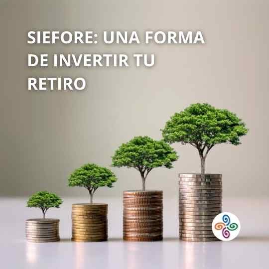 SIEFORE: qué es y cómo funciona